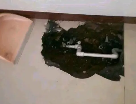 西盟卫生间测漏水多少钱